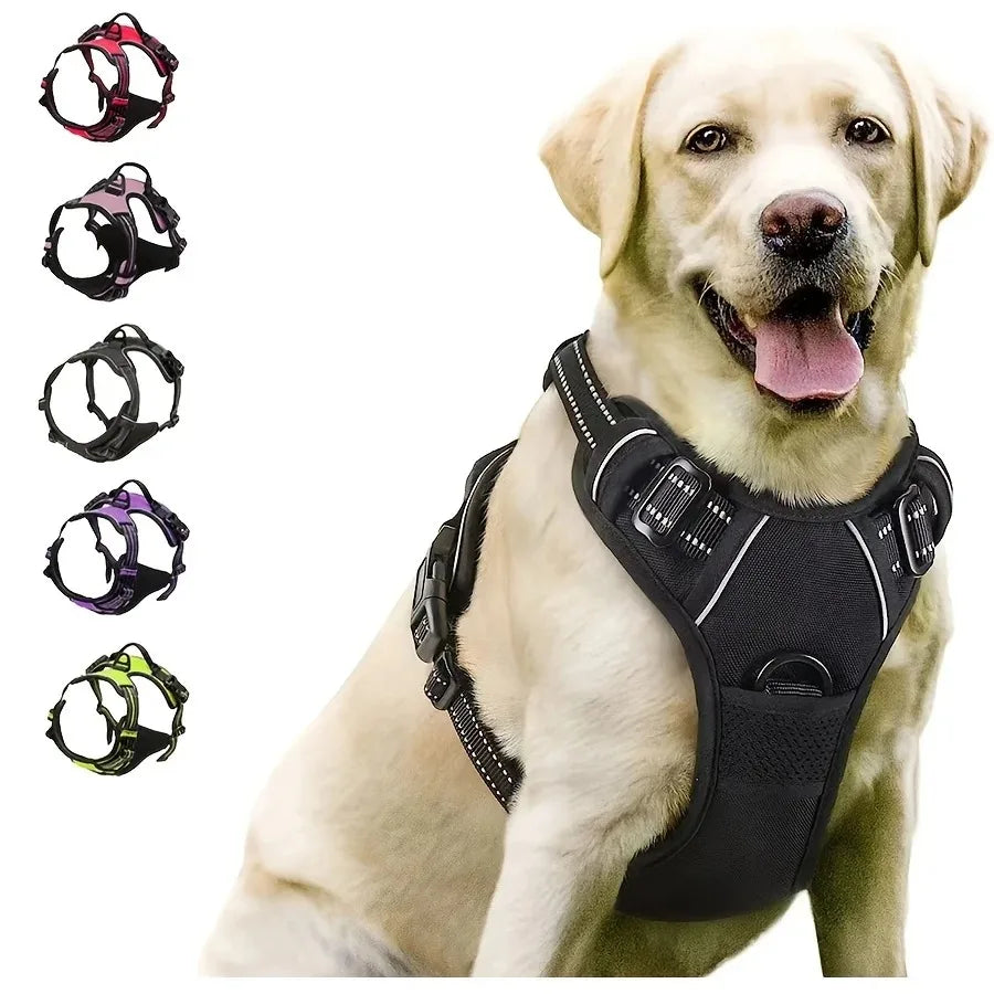 Hundehalsband, Geschirr & Leine – Lederoptik, Set für kleine & mittlere Hunde