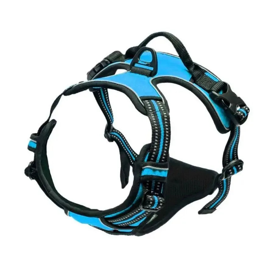 Hundehalsband, Geschirr & Leine – Lederoptik, Set für kleine & mittlere Hunde