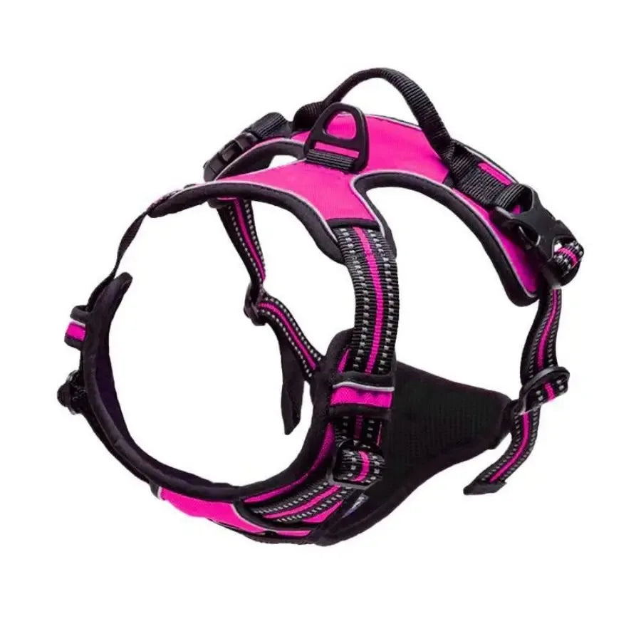 Hundehalsband, Geschirr & Leine – Lederoptik, Set für kleine & mittlere Hunde