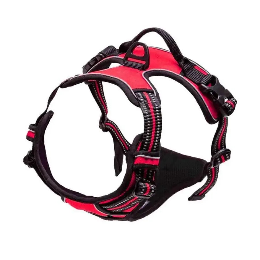 Hundehalsband, Geschirr & Leine – Lederoptik, Set für kleine & mittlere Hunde