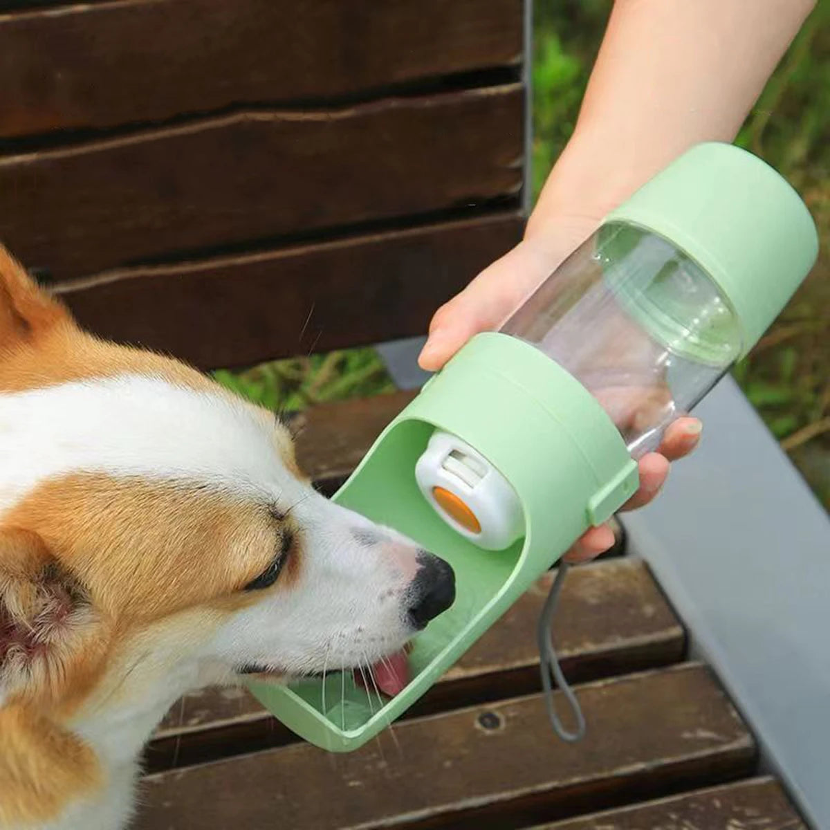 Tragbare Wasser- & Futterflasche für Hunde und Katzen – für unterwegs