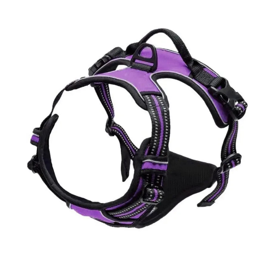 Hundehalsband, Geschirr & Leine – Lederoptik, Set für kleine & mittlere Hunde
