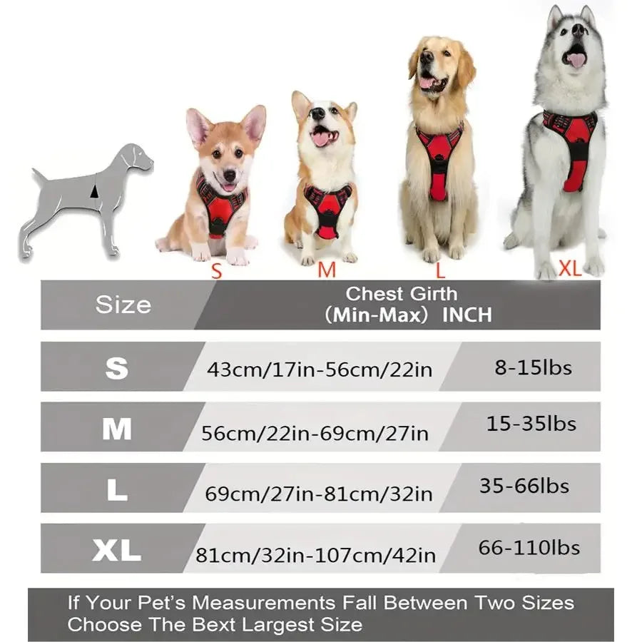 Hundehalsband, Geschirr & Leine – Lederoptik, Set für kleine & mittlere Hunde