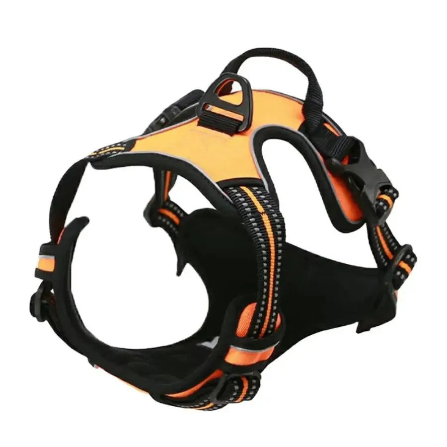 Hundehalsband, Geschirr & Leine – Lederoptik, Set für kleine & mittlere Hunde