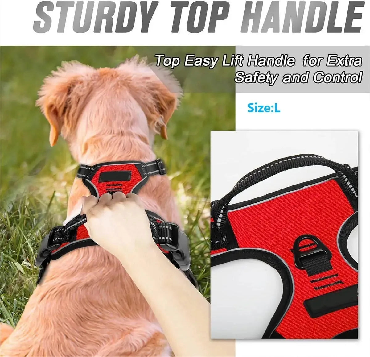 Hundehalsband, Geschirr & Leine – Lederoptik, Set für kleine & mittlere Hunde