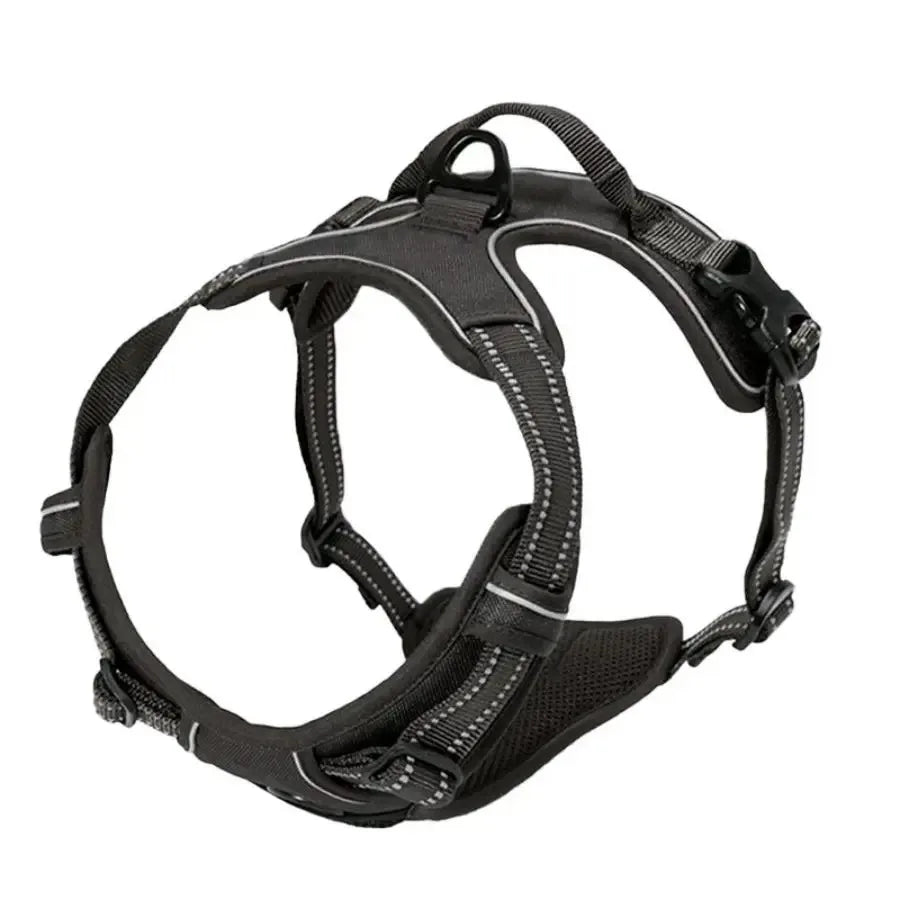 Hundehalsband, Geschirr & Leine – Lederoptik, Set für kleine & mittlere Hunde